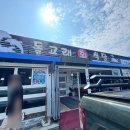 돌고래회식당 이미지