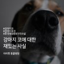 아이펫동물병원 이미지