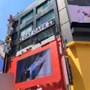 스카이캣명동2호점 | 고양이카페 명동 가볼만한 곳 스카이캣카페