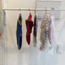 라라도그 이미지