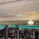 창신대중사우나 | [헬스] 동묘 스파렉스 피트니스 PT_조찬호 트쌤