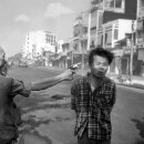 LOAN NGUYEN 이미지