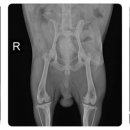 금동이PC 이미지