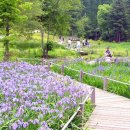 국립유명산자연휴양림 이미지