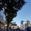 프레이저플레이스남대문서울(Fraser Place Namdaemun-Seoul) | 서울시내숙소_프레이저플레이스 남대문 서울점 (fraser place namdaemun seoul)숙박후기 및 루프탑과...