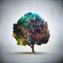 바투바투 이미지