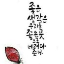 멋진하루 이미지