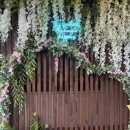 박성환 돈까스 이미지