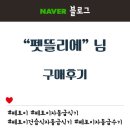 펫 뜰 이미지