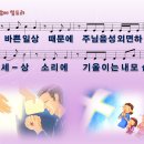 주님 앞에 엎드려 / 바쁜 일상 때문에 [주찬양전도단 3집] 이미지