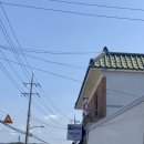 경주애견동반카페 | 카페 분황꽃담 | 경주현지인 맛집 (feat. 평온함그자체)