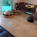 퍼피프렌즈 이미지