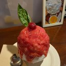 푸라닭신수점 | 식사보고 (맥반석계란만들기, 브라타치즈, 연어샐러드, 둥둥막창구이,도쿄빙수, 이치젠스페셜텐동)