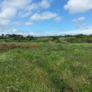 한 수산 이미지