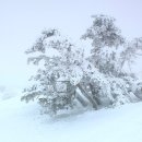 겨울나그네 이미지