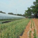 장마루보건진료소 이미지