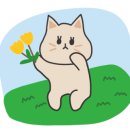 준카클리닉 이미지