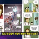 선정화
