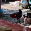 검태회관 이미지