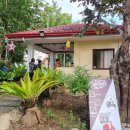 지-트랙 | 보홀 고래상어 나팔링 투어 패스트트랙 후기