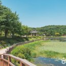 설봉공원 이미지