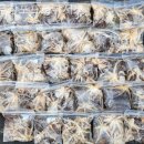 프로낚시 | 쭈꾸미낚시 무창포프로낚시 업체 후기