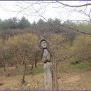 산수유축제장 이미지