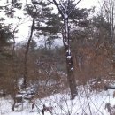 산하의물결 이미지