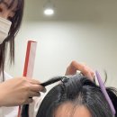 전헤어아트
