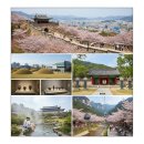 안락동역사의 숲 충렬사방면 | 부산 동래 완전정복! 🌸온천천 벚꽃부터 역사, 온천, 맛집까지 1박 2일 추천 코스 총정리 ## 부산 동래구...