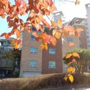 행복한용마루어린이집 이미지