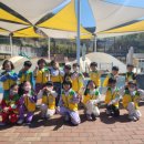 새들유치원 이미지