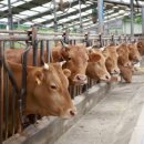 장수축산 이미지