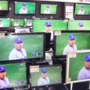 펫코랜드 이미지