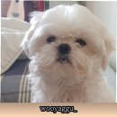 뭉클2 네이버블로그