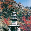 함안주리사지사자석탑 | 추억의 금강산(13)_금강산(금장암터_사자탑)