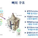 우리치아 치과기공소 이미지