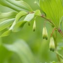 지경약수터 이미지