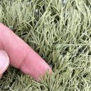 가평종합운동장 가평희망구장 이미지