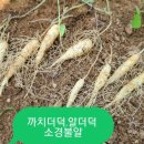 까치슈퍼 이미지