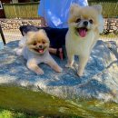 어떤하루펜션 이미지