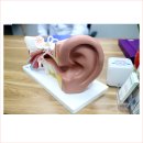 척척의료기 이미지