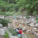 중원-97 Daum카페