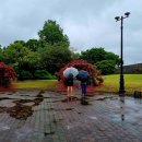 장안문버스정류장 이미지