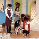 스카이닥터스 이미지