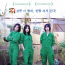 하비음악학원 | [리뷰] 영화 <올 그린스> 기본정보 후기 결말 평점 해석 쿠키 원작ㅣ원예 동아리를 가장해 옥상에 대마...