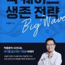 빅웨이브
