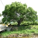 덕산초교 옆 이미지