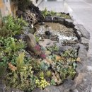 지에스(GS) 수퍼마켓 부암점 이미지