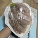 히트실내바다낚시터 - 월척이오